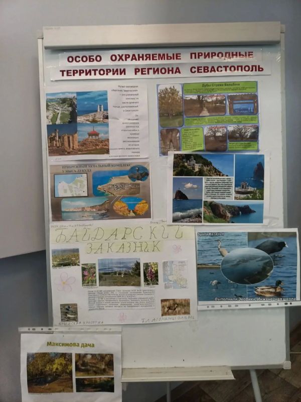 Экостарт для юных защитников природы! Экостарт для юных защитников природы!