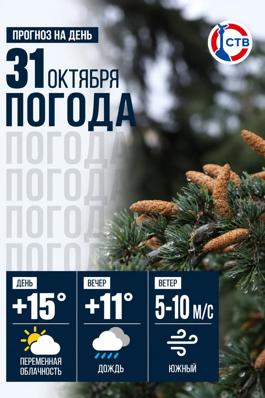 Сегодня, 31 октября, в Севастополе ожидается прохладная осенняя погода